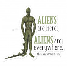 Aliens Are Here Stickers for Starseed, Star Child, Alien Lovers, UFO, ETs, Indigos, Lightworkers, Spiritual Activist, Scrapbooking, Crafts