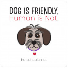 Dog is Friendly Stickers, Dog Lover Stickers, Dog Rescue, Animal Activist, Starseeds, Lightworkers, Scrapbooking, Dog Bumper Sticker